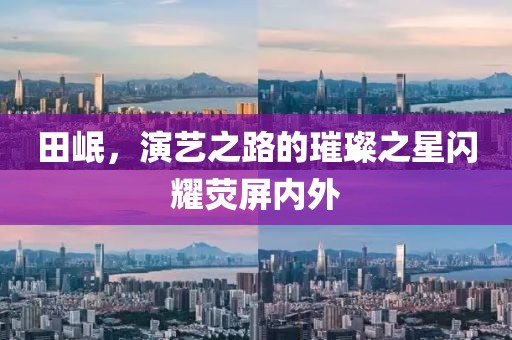田岷，演艺之路的璀璨之星闪耀荧屏内外