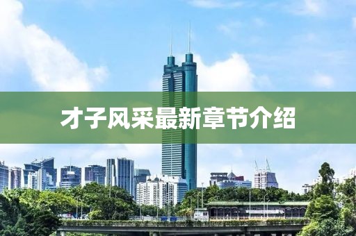才子风采最新章节介绍