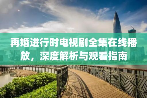 再婚进行时电视剧全集在线播放，深度解析与观看指南