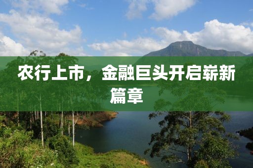 农行上市，金融巨头开启崭新篇章