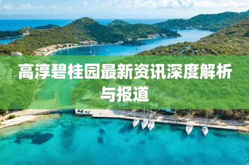 高淳碧桂园最新资讯深度解析与报道
