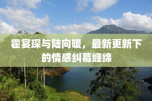 霍宴琛与陆向暖，最新更新下的情感纠葛缠绵