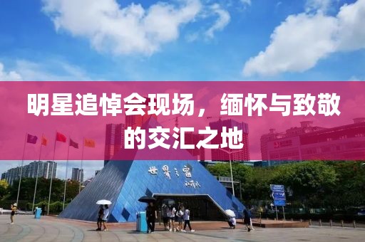 明星追悼会现场，缅怀与致敬的交汇之地