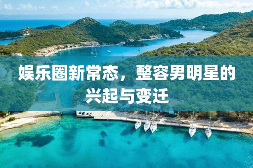 娱乐圈新常态，整容男明星的兴起与变迁