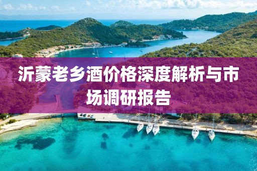 沂蒙老乡酒价格深度解析与市场调研报告