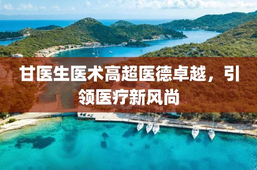 甘医生医术高超医德卓越，引领医疗新风尚
