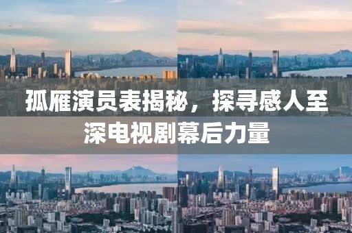 孤雁演员表揭秘，探寻感人至深电视剧幕后力量
