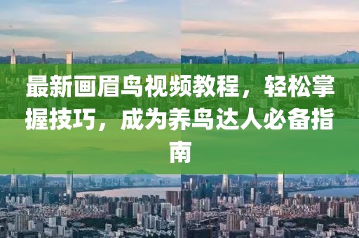 最新画眉鸟视频教程，轻松掌握技巧，成为养鸟达人必备指南
