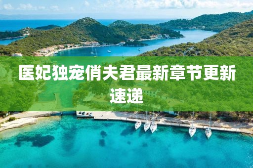 医妃独宠俏夫君最新章节更新速递