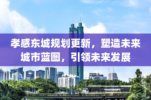 孝感东城规划更新，塑造未来城市蓝图，引领未来发展