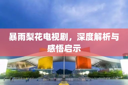 暴雨梨花电视剧，深度解析与感悟启示