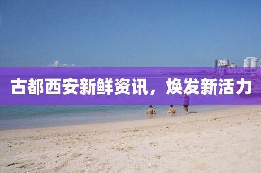 时光瘦了 第12页