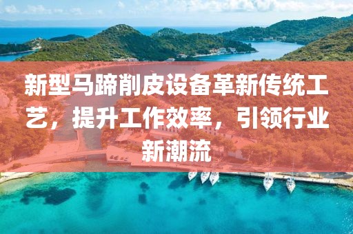 新型马蹄削皮设备革新传统工艺，提升工作效率，引领行业新潮流