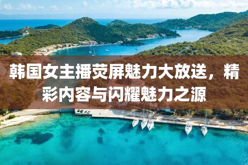 韩国女主播荧屏魅力大放送，精彩内容与闪耀魅力之源