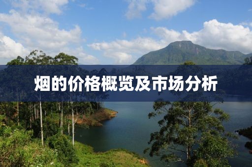 烟的价格概览及市场分析
