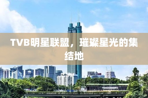 TVB明星联盟，璀璨星光的集结地