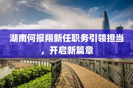 湖南何报翔新任职务引领担当，开启新篇章
