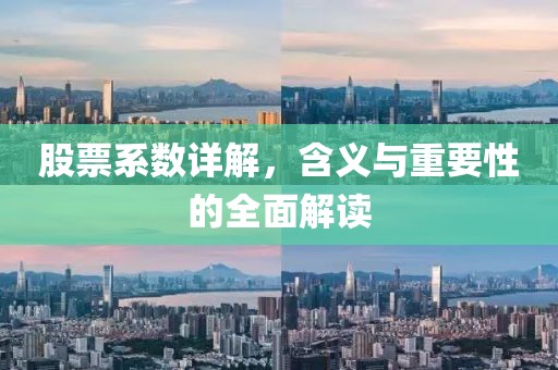 股票系数详解，含义与重要性的全面解读