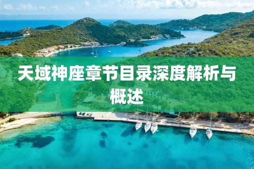 天域神座章节目录深度解析与概述