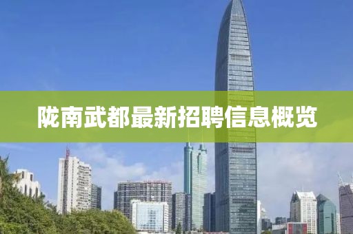 陇南武都最新招聘信息概览