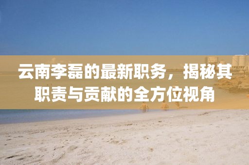 云南李磊的最新职务，揭秘其职责与贡献的全方位视角