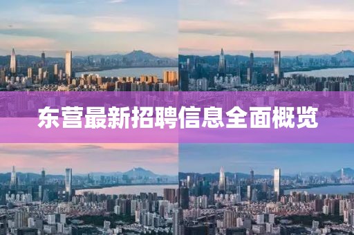 东营最新招聘信息全面概览