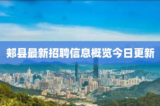 郏县最新招聘信息概览今日更新