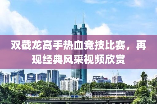 双截龙高手热血竞技比赛，再现经典风采视频欣赏