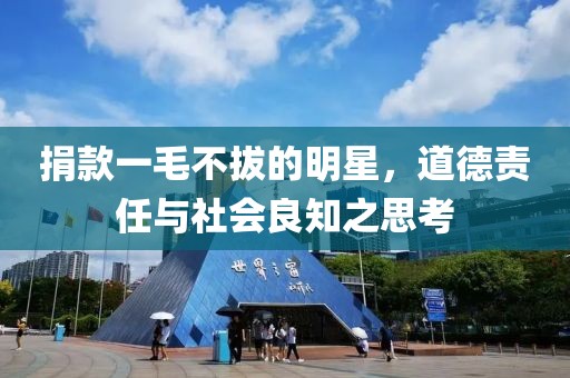 捐款一毛不拔的明星，道德责任与社会良知之思考