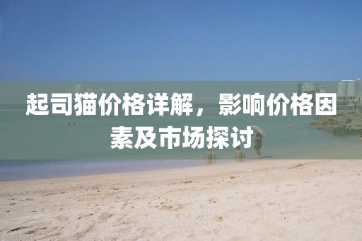 起司猫价格详解，影响价格因素及市场探讨