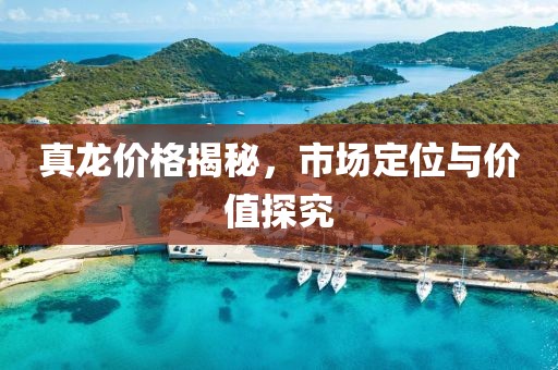 真龙价格揭秘，市场定位与价值探究