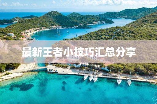 最新王者小技巧汇总分享