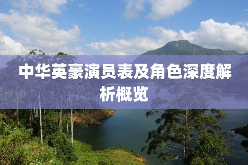 中华英豪演员表及角色深度解析概览