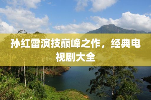 孙红雷演技巅峰之作，经典电视剧大全