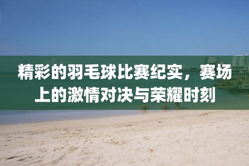 精彩的羽毛球比赛纪实，赛场上的激情对决与荣耀时刻
