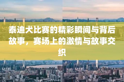 泰迪犬比赛的精彩瞬间与背后故事，赛场上的激情与故事交织