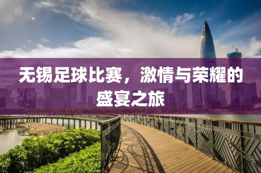无锡足球比赛，激情与荣耀的盛宴之旅