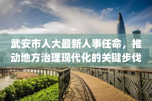 武安市人大最新人事任命，推动地方治理现代化的关键步伐