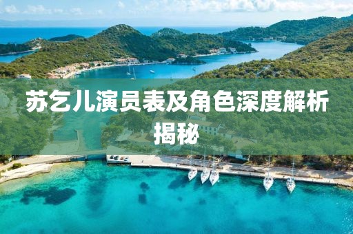 苏乞儿演员表及角色深度解析揭秘