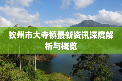 钦州市大寺镇最新资讯深度解析与概览