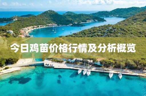 2025年2月 第2页
