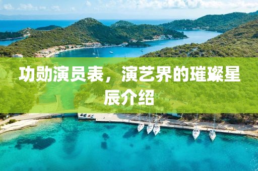 功勋演员表，演艺界的璀璨星辰介绍