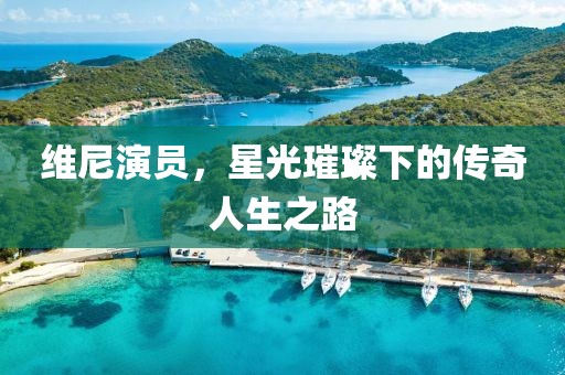 维尼演员，星光璀璨下的传奇人生之路