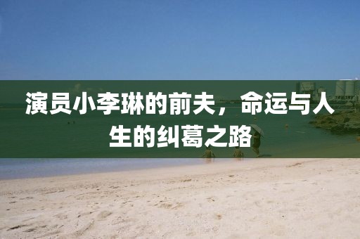 演员小李琳的前夫，命运与人生的纠葛之路