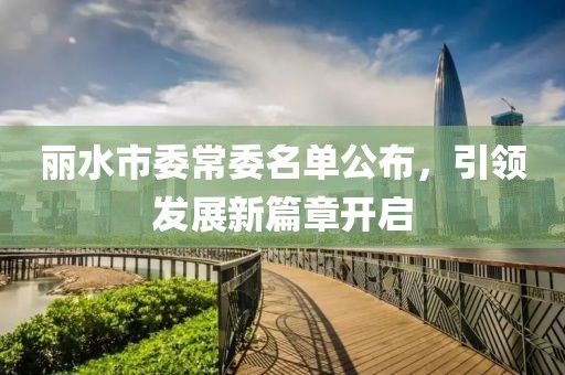 丽水市委常委名单公布，引领发展新篇章开启