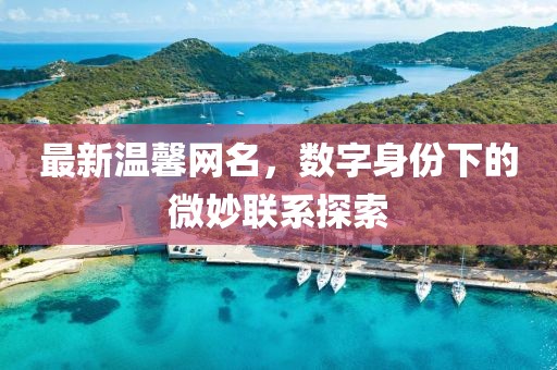 最新温馨网名，数字身份下的微妙联系探索