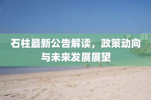 石柱最新公告解读，政策动向与未来发展展望