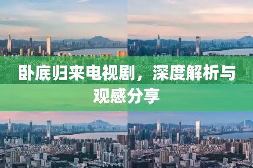 卧底归来电视剧，深度解析与观感分享