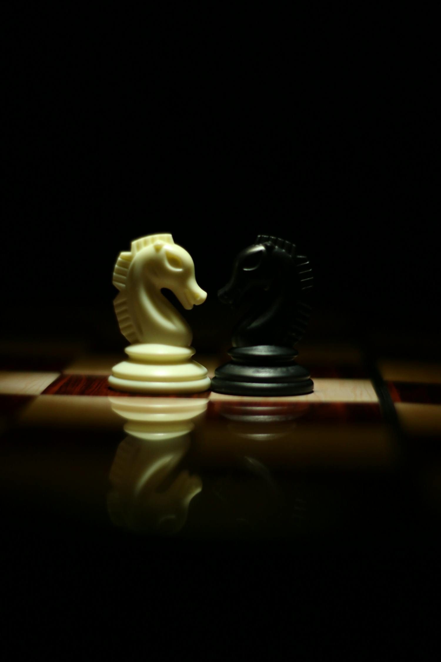 学校举办象棋大赛，传承文化，智慧碰撞