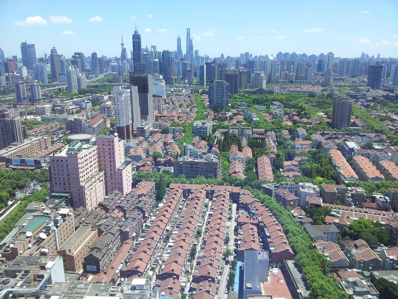 上海楼市行情深度剖析与解读